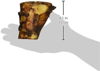 Nature's Logic Beef Hind Shank Bone - 3-4" Long Chew - Collagen & Protein Source for Dog Dental Health & Occupation - Carnivore Appropriate Recreational Dental Care - Small Beef Hind Shank