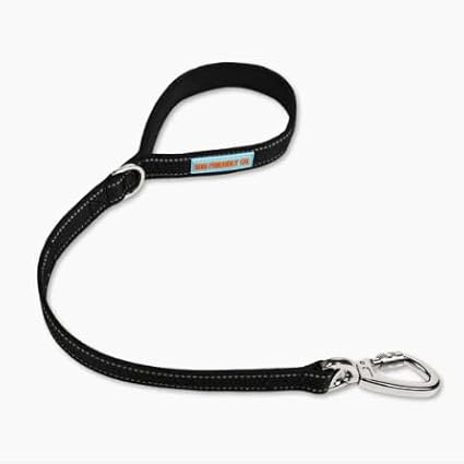 DF Co. Close Control Short Trainer Dog Leash | Strain Free & Shock Resistant, Durable Material, 65cm in Length, Heavy Duty Clips & D-Ring (Black, Small)
