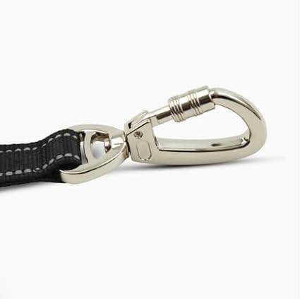 DF Co. Close Control Short Trainer Dog Leash | Strain Free & Shock Resistant, Durable Material, 65cm in Length, Heavy Duty Clips & D-Ring (Black, Regular)
