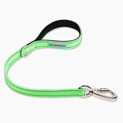 DF Co. Close Control Short Trainer Dog Leash | Strain Free & Shock Resistant, Durable Material, 65cm in Length, Heavy Duty Clips & D-Ring (Green, Regular)