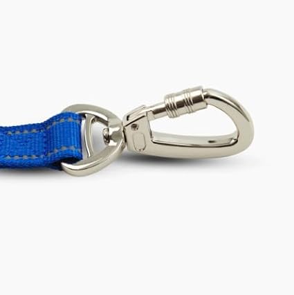 DF Co. Close Control Short Trainer Dog Leash | Strain Free & Shock Resistant, Durable Material, 65cm in Length, Heavy Duty Clips & D-Ring (Classic Blue, Regular)