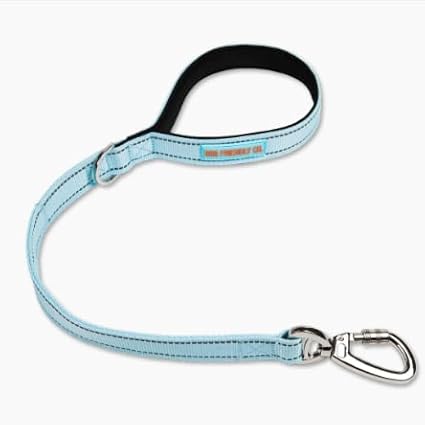 DF Co. Close Control Short Trainer Dog Leash | Strain Free & Shock Resistant, Durable Material, 65cm in Length, Heavy Duty Clips & D-Ring | Sky Blue, Size Regular
