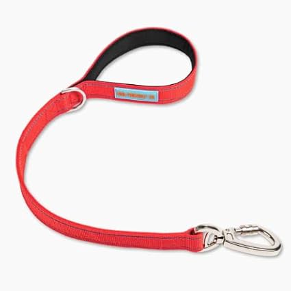 DF Co. Close Control Short Trainer Dog Leash | Strain Free & Shock Resistant, Durable Material, 65cm in Length, Heavy Duty Clips & D-Ring (Red, Regular)