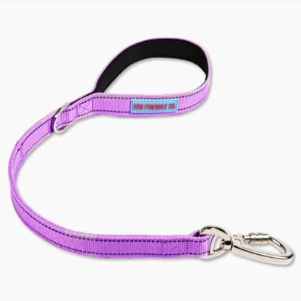 DF Co. Close Control Short Trainer Dog Leash | Strain Free & Shock Resistant, Durable Material, 65cm in Length, Heavy Duty Clips & D-Ring (Purple, Regular)