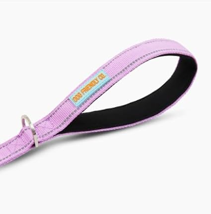 DF Co. Close Control Short Trainer Dog Leash | Strain Free & Shock Resistant, Durable Material, 65cm in Length, Heavy Duty Clips & D-Ring (Purple, Regular)