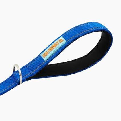 DF Co. Close Control Short Trainer Dog Leash | Strain Free & Shock Resistant, Durable Material, 65cm in Length, Heavy Duty Clips & D-Ring (Classic Blue, Small)