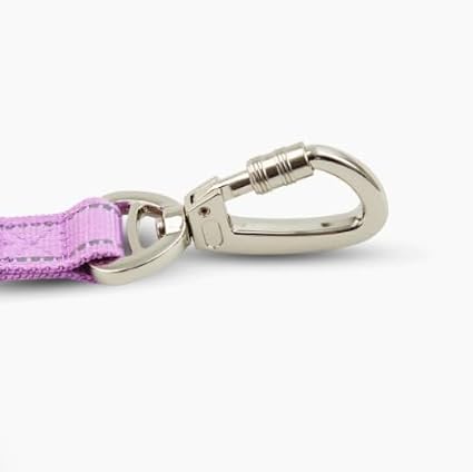 DF Co. Close Control Short Trainer Dog Leash | Strain Free & Shock Resistant, Durable Material, 65cm in Length, Heavy Duty Clips & D-Ring (Purple, Regular)