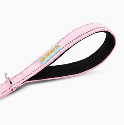 DF Co. Close Control Short Trainer Dog Leash | Strain Free & Shock Resistant, Durable Material, 65cm in Length, Heavy Duty Clips & D-Ring (Pink, Small)