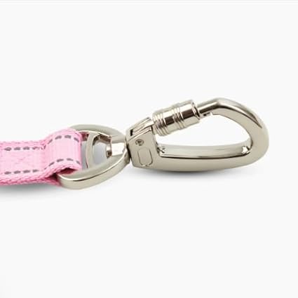 DF Co. Close Control Short Trainer Dog Leash | Strain Free & Shock Resistant, Durable Material, 65cm in Length, Heavy Duty Clips & D-Ring (Pink, Small)