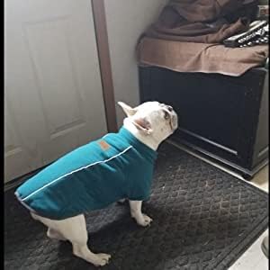 BoxDog Polar Fleece Warm Dog Jacket (Large)