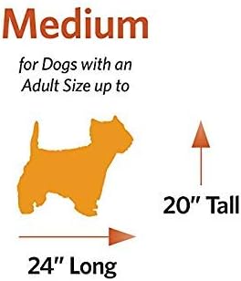 MidWest Homes for Pets Medium LifeStages Single Door 30-Inch Folding Dog Crate, Enhanced Security, Includes Leak-Proof Pan, Divider Panel, Handle, Rubber Feet