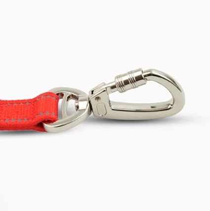 DF Co. Close Control Short Trainer Dog Leash | Strain Free & Shock Resistant, Durable Material, 65cm in Length, Heavy Duty Clips & D-Ring (Red, Regular)