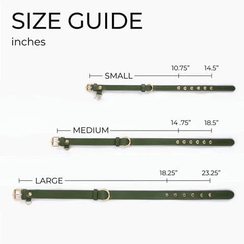 Two Tails Pet Company Cactus Vegan Leather Dog Collar, Adjustable Pet Collar with Gold Hardware and D Rings for Leash & ID Tag for Dogs and Puppies, Easy to Clean & Eco Friendly, Caramel, Size Medium