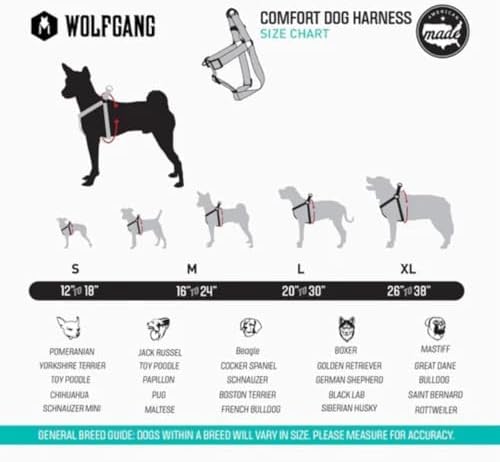 Wolfgang Heavy Duty Adjustable Dog Harness, Pull-Tested to Over 800 lbs for Walking & Training, Daydream Print, Large