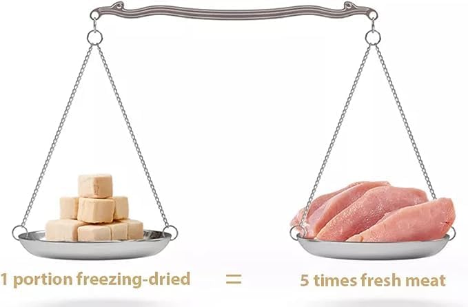 Organic Freeze-Dried Salmon Treats — Single Ingredient, Grain-Free & Gluten-Free — High Protein, Skin & Coat Support, Raw-Diet Friendly — Made in USA (Pack of 3)