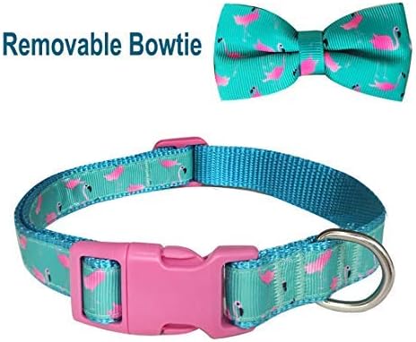 azuza Bowtie Dog Collar, Soft & Comfy Dog Collar with Bow, Fun Patterns & Bright Color for Medium Dogs