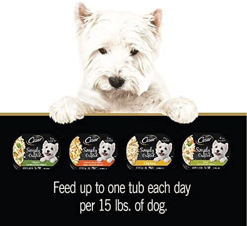 Cesar Simply Crafted Adult Wet Dog Food Meal Topper, Variety Pack, 1.3 oz Tub, 24 Count (Pack of 1)