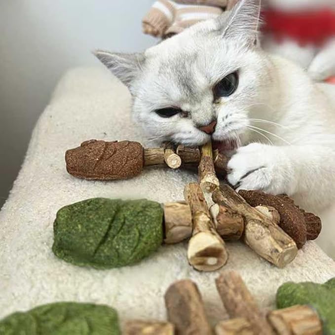 ZJUN 3 Pack Cat Chew - Fix Cat Dental Health, Catnip Toys for Indoor Cats, Natural Fishbone Cats Dental Toy, Durable Feline Tooth Care Tool, Kitten Teeth Cleaning Care Sticks, Catnip & Galls Fruit