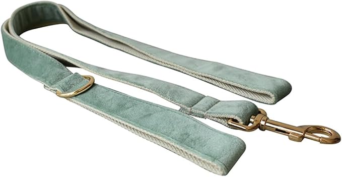Love Dream Velvet Dog Collar and Leash Set, Soft & Comfy Adjustable Dog Leash and Collar with Heavy Duty Metal Buckle for Small Medium Large Dogs Training & Walking (Small, Mint Green)