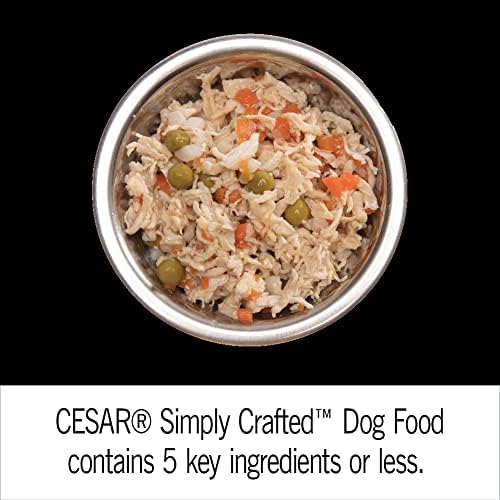Cesar Simply Crafted Adult Wet Dog Food Meal Topper, Variety Pack, 1.3 oz Tub, 24 Count (Pack of 1)