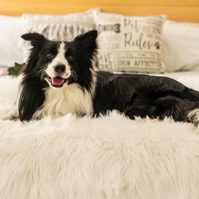 PAW BRANDS PupProtector Waterproof Throw Blanket for Dogs and Cats, Pet Blanket Cover for Couches, Sofas, Beds, Car Seats, Furniture, Calming Soft Faux Fur, Polar White, Original (60" L x 50" W)