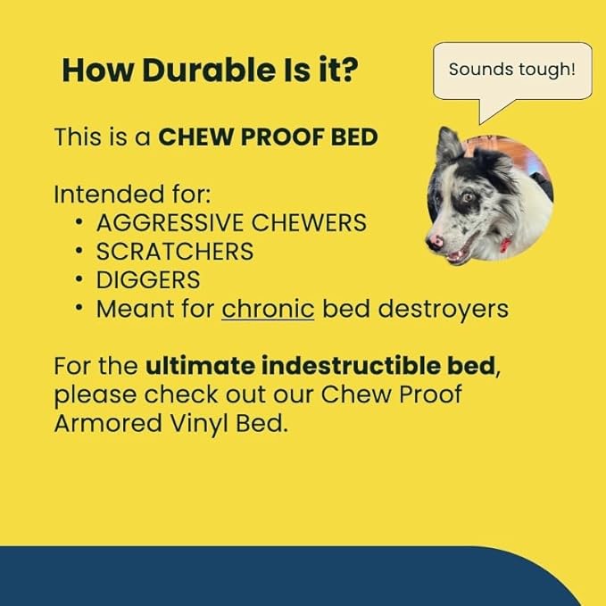 K9 Ballistics Chew Proof Elevated Outdoor Cooling Cot Bed for X Large Dogs - Virtually Indestructible, Preassembled, Withstands Aggressive Chewers - XL, Ripstop Blue Quartz