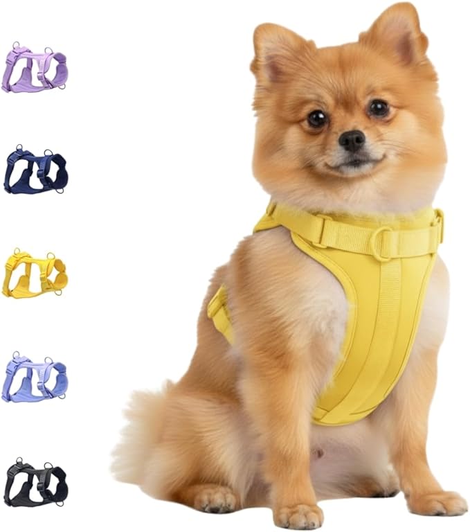 Dog Harness, No-Pull Pet Harness with 3 Leash Clips, Adjustable Soft Padded Dog Vest, Breathable Mesh Cushion for Small Medium Large Dogs (Yellow, Small (Neck:12"-16" Chest 16"-20"))