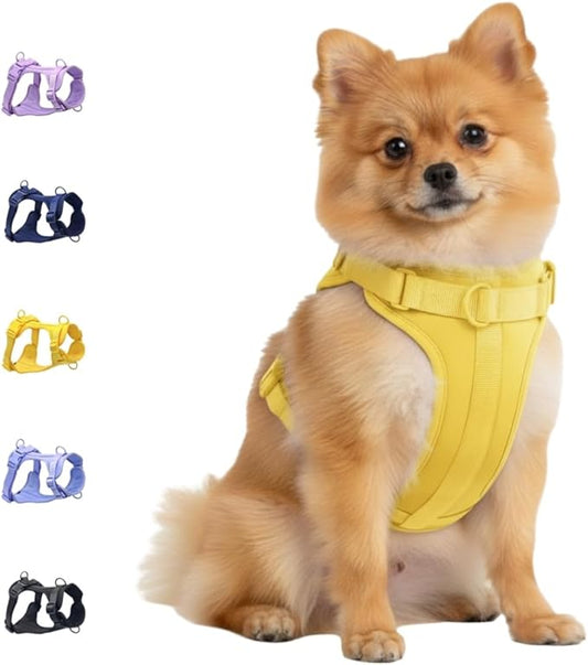 Dog Harness, No-Pull Pet Harness with 3 Leash Clips, Adjustable Soft Padded Dog Vest, Breathable Mesh Cushion for Small Medium Large Dogs (Yellow, Small (Neck:12"-16" Chest 16"-20"))