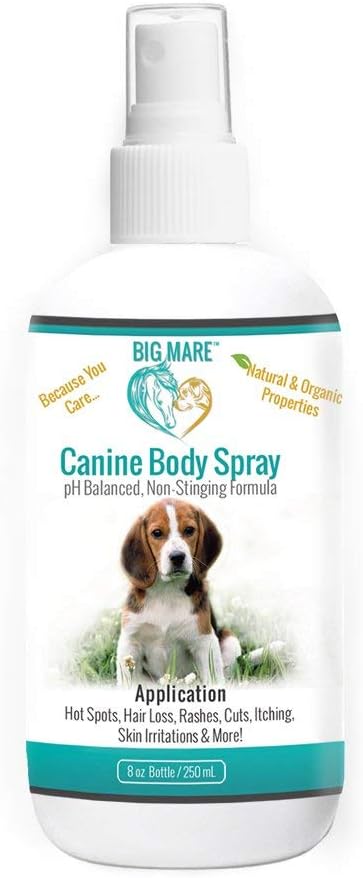Big Mare Dog Spray | Effective On Hotspots, Yeast, Dermatitis, Staph, Ringworm, Hair Loss, & More. Antibacterial & Antifungal | Vet Approved & Recommended. (8 oz)