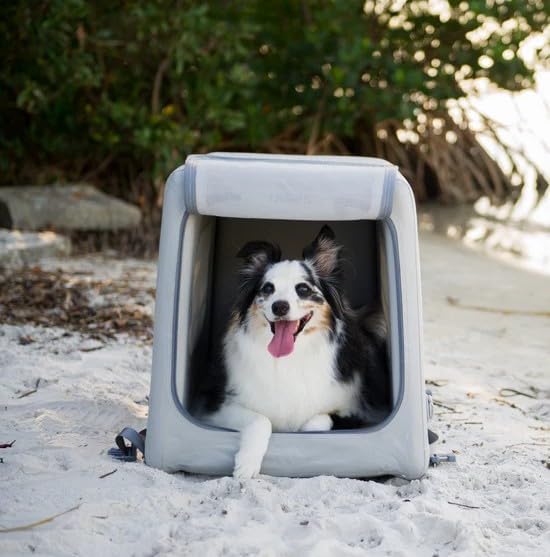 Diggs Enventur Large Inflatable Travel Dog Crate – Ultra-Light & Portable Dog Crate – Puncture-Resistant, Waterproof, Compact – Safe, Durable for Adventures & Travel - 40”L x 24”W x 30”H (Grey)