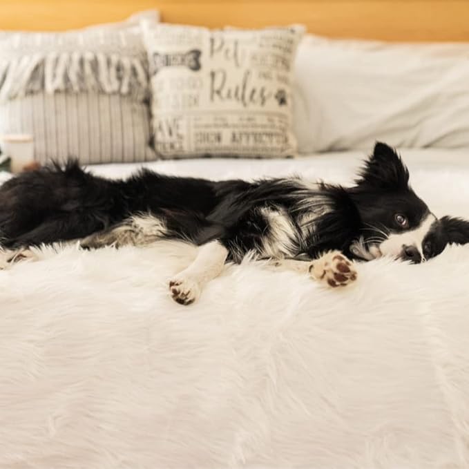 PAW BRANDS PupProtector Waterproof Throw Blanket for Dogs and Cats, Pet Blanket Cover for Couches, Sofas, Beds, Car Seats, Furniture, Calming Soft Faux Fur, Polar White, Original (60" L x 50" W)