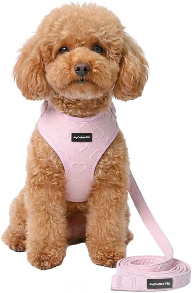 No Pull Neoprene Dog Harness and Leash Set for Extra Small Dog, Neck(8.6–12.2 in), Adjustable Soft Mesh Design, Pink XXS -Lightweight No Choke Fit, Step-in, Escape-Proof Comfort