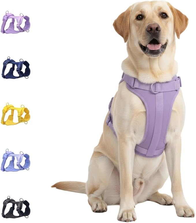 Dog Harness, No-Pull Pet Harness with 3 Leash Clips, Adjustable Soft Padded Dog Vest, Breathable Mesh Cushion for Small Medium Large Dogs (Purple, Large (Neck:20"-25" Chest 28"-41"))