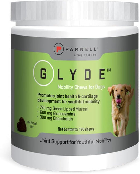 Glyde Mobility Chews for Dogs – Hip & Joint Supplement with Glucosamine, Chondroitin & Green-Lipped Mussel – Supports Arthritis Relief, Flexibility & Mobility – 120 Soft Chews