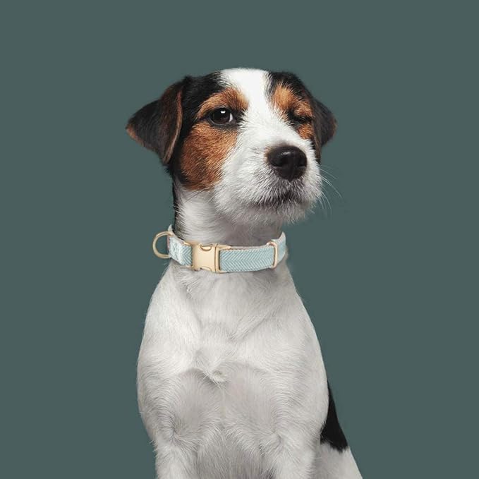 Soft Hemp Dog Collar and Leash Set Adjustable Woven Twilled Dog Collars with Metal Buckle and Lead for Small Medium Large Dogs,Blue