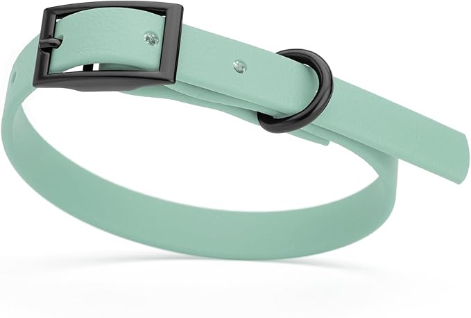 Dogline Biothane Coated Webbing Dog Collar with Black Metal Hardware: Durable Easy-Clean Everyday Collar for Dogs - Comfortable Adjustable Odor-Resistant Pet Collar, W1/2" x L9-12, Sage Green