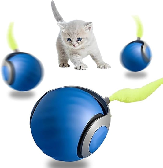 Pamerco Automatic Cat Ball Toy with 2 Feather Tails - Rechargeable Interactive Cat Toys, 2-Speed Motion Activated Roller for Indoor Cats to Relieve Boredom (Small/Medium/Large Cats) (Blue)