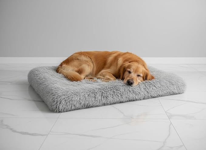 Dog Bed, pet beds (Small) - Premium Quality, Washable & Portable, Eco-Friendly, Multiple Sizes, Stylish Design, Removable Cover, Size Small(15.75 X 11.81 X 2) inch