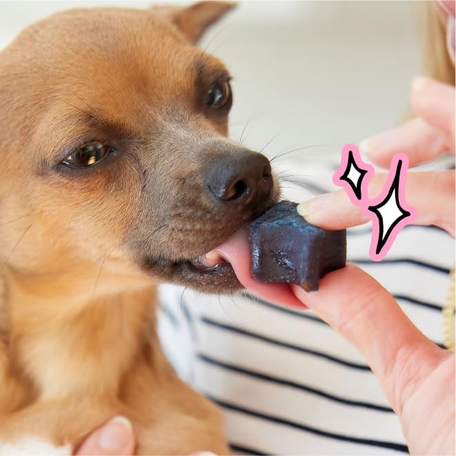 Spot & Tango PupGum Dog Dental Chews for Fresh Breath & Clean Teeth – Clinically Proven Plaque Control – Human-Grade, Vet-Developed Daily Dental Treats for Dogs <15lbs – 28 Chews – Made in USA