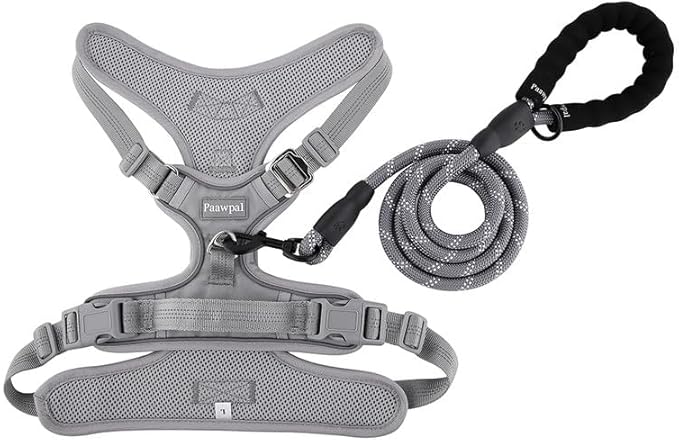 Adjustable Dog Harness - No Pull, Reflective, Soft Padded for Small, Medium, Large Dogs - Includes Leash Silver XL