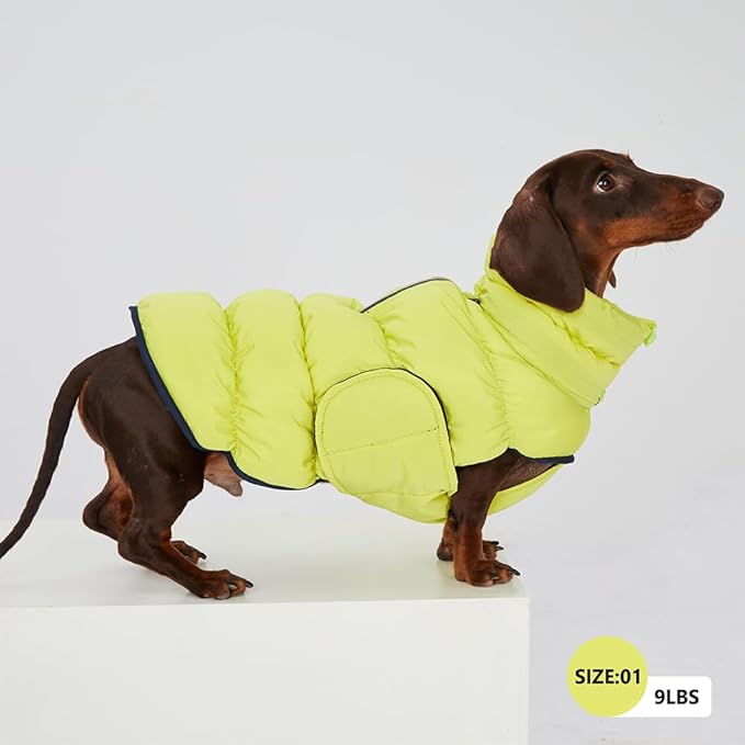 Dog Winter Puffer Jacket, Warm Padded Sleeveless Coat for Small Medium Dogs, Waterproof Winter Jacket, Turtleneck Cold Weather Dogs Jacket (Size 5(chest22-24'', 22-28 lbs))