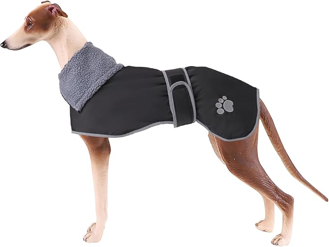 Geyecete Dog Winter Coat Geyecete Greyhound Raincoat Fabric with Lamb Velvet Inside Outdoor Dog Apparel with Adjustable Bands for Medium, Large Dog-Black-M