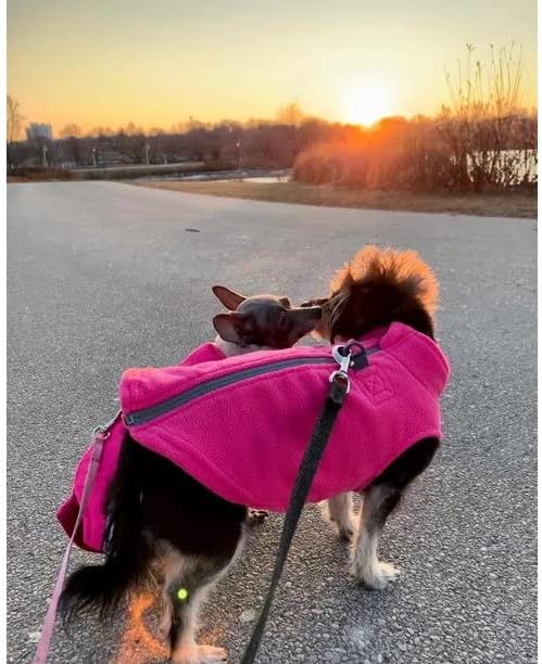 Gooby Zip Up Fleece Dog Sweater - Pink, Small - Warm Pullover Fleece Step-in Dog Jacket with Dual D Ring Leash - Winter Small Dog Sweater - Dog Clothes for Small Dogs Boy and Medium Dogs