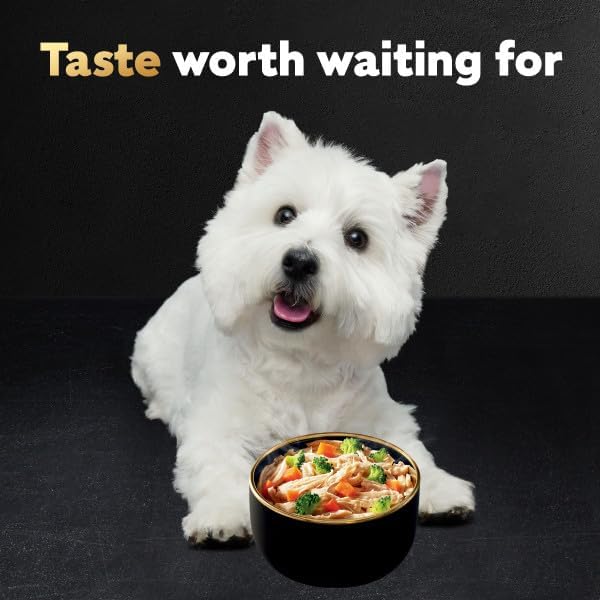 Cesar Warm Bowls Wet Dog Food Roasted Chicken Entree with Sweet Potatoes & Broccoli in Broth, 2.7 oz. Bowls, 10 Count (Pack of 1)