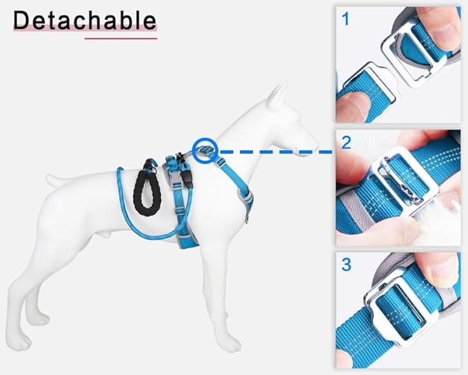 Adjustable Dog Harness - No Pull, Reflective, Soft Padded for Small, Medium, Large Dogs - Includes Leash Turquoise M