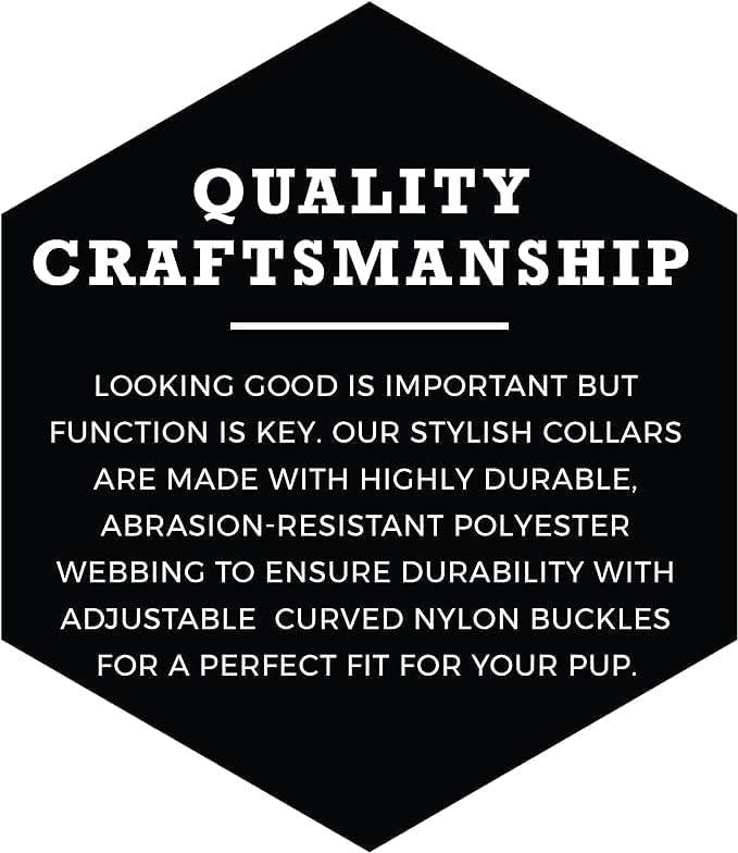 Wolfgang Heavy Duty, Adjustable Dog Collar with Quick Release Nylon Buckle for Walking & Training, SunsetPalms Print, Large