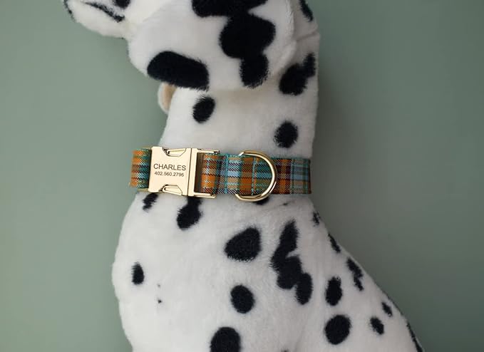Custom Dog Collar with Names and Phone Number Engraved, Puppy Tags Personalized for Small Medium Large Pets