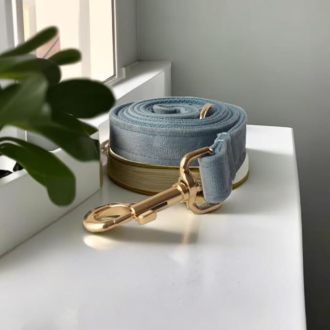 Love Dream Velvet Dog Collar and Leash Set, Soft & Comfy Adjustable Dog Leash and Collar with Heavy Duty Metal Buckle for Small Medium Large Dogs Training & Walking (Small, Pearl Blue)