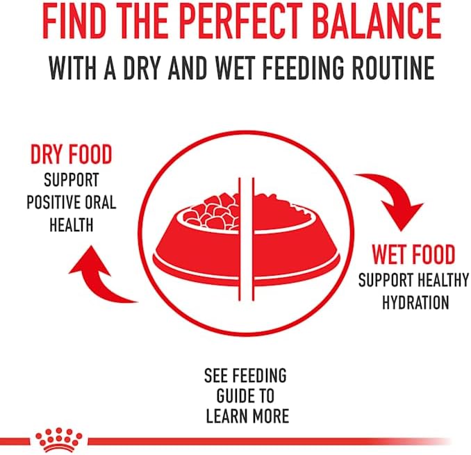 Royal Canin Medium Aging 10+ Senior Dry Dog Food, 30 lb bag