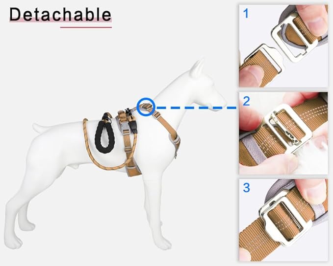 Adjustable Dog Harness - No Pull, Reflective, Soft Padded for Small, Medium, Large Dogs - Includes Leash Beige L